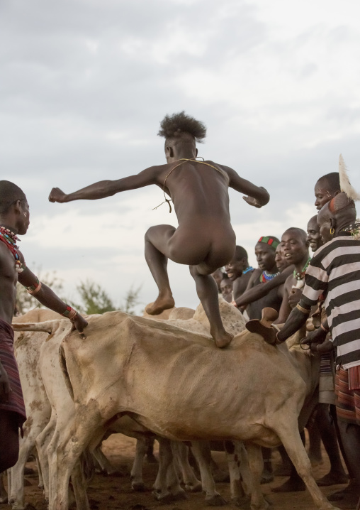 Bashada Tribe Man Jumping Above Cows During A Bull Jumping Ceremony, Dimeka, Omo Valley, Ethiopia