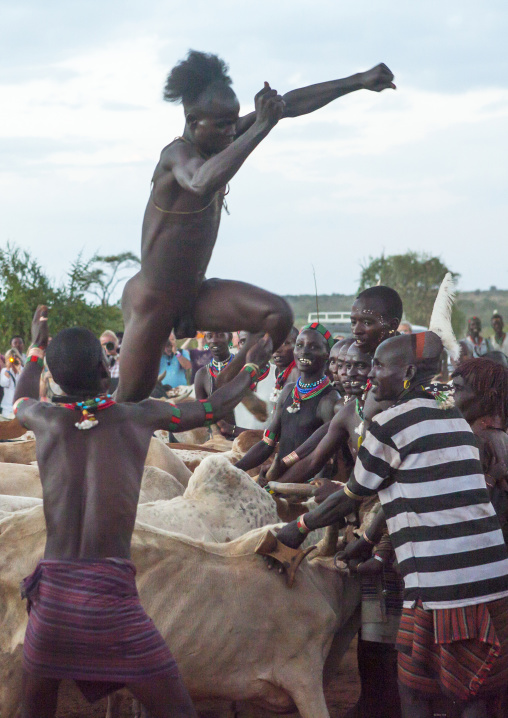 Bashada Tribe Man Jumping Above Cows During A Bull Jumping Ceremony, Dimeka, Omo Valley, Ethiopia