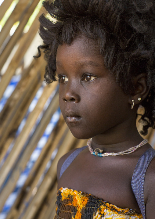 Ajulu, Anuak Tribe Gilr With A Wig, Gambela, Ethiopia