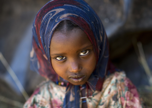 Miss Daki Dae, Borana Tribe Girl, Yabelo, Ethiopia