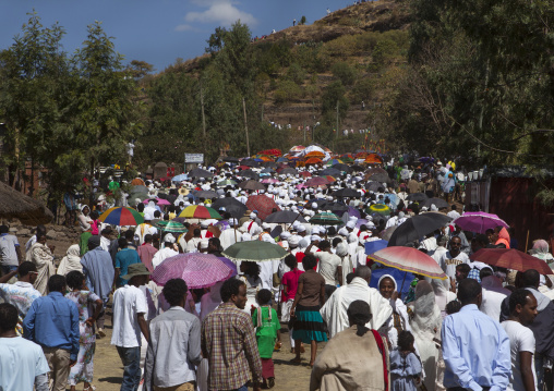 Pilgrims Crowd During Timkat Epiphany Festival, Lalibela, Ethiopia