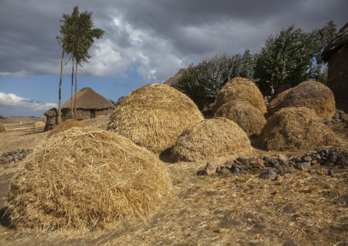 Traditional Houses In The Ethiopian Highlands, Lalibela, Ethiopia