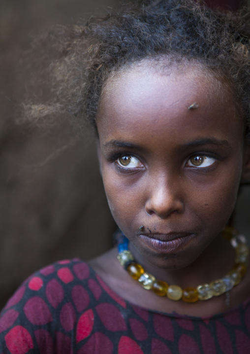 Afar Tribe Girl, Assayta, Ethiopia