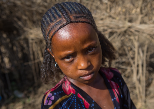 Oromo girl with a nice hairstyle, Amhara region, Artuma, Ethiopia