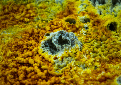 The colorful potassium salt crust formed by hot springs in the danakil depression, Afar region, Dallol, Ethiopia