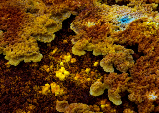 The colorful potassium salt crust formed by hot springs in the danakil depression, Afar region, Dallol, Ethiopia