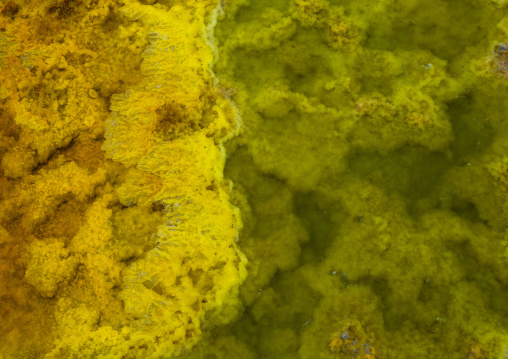 The colorful potassium salt crust formed by hot springs in the danakil depression, Afar region, Dallol, Ethiopia
