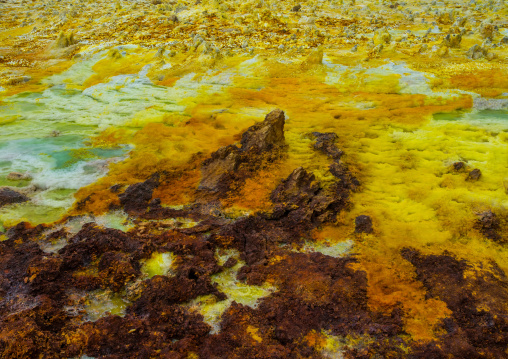 The colorful potassium salt crust formed by hot springs in the danakil depression, Afar region, Dallol, Ethiopia