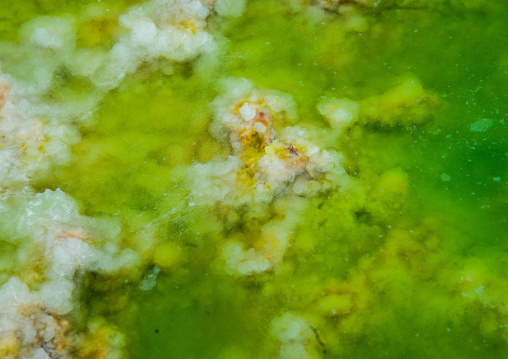 The colorful potassium salt crust formed by hot springs in the danakil depression, Afar region, Dallol, Ethiopia