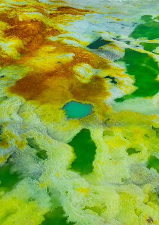 The colorful potassium salt crust formed by hot springs in the danakil depression, Afar region, Dallol, Ethiopia