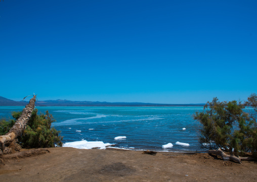 Saline lake, Afar region, Afdera, Ethiopia