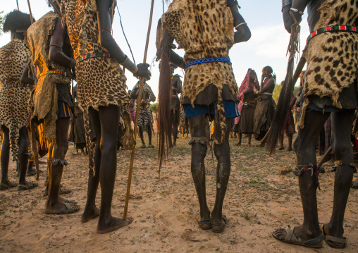 Dassanech men with leopard skins and ostrich feathers headwears during dimi ceremony to celebrate circumcision of teenagers, Omo valley, Omorate, Ethiopia