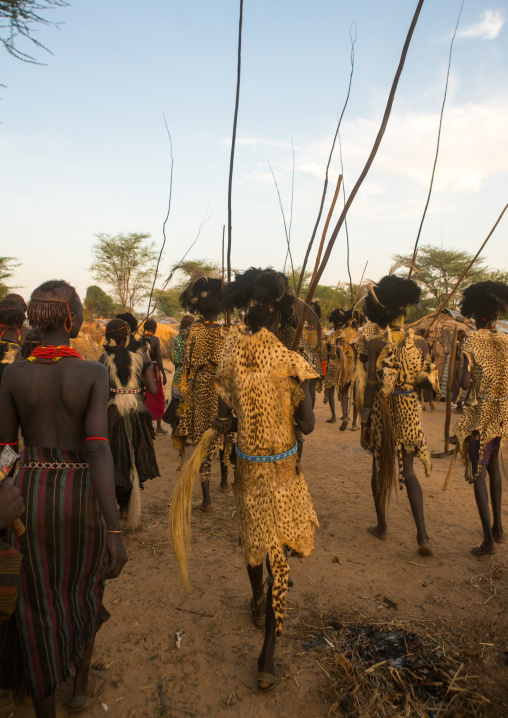 Dassanech men with leopard skins and ostrich feathers headwears during dimi ceremony to celebrate circumcision of teenagers, Omo valley, Omorate, Ethiopia