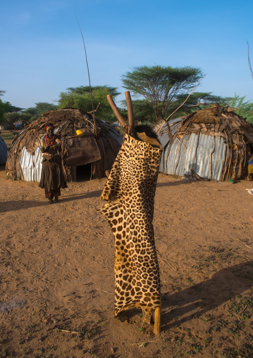 Leopard skin used for dimi ceremony to celebrate circumcision of teenagers in dassanech tribe, Omo valley, Omorate, Ethiopia
