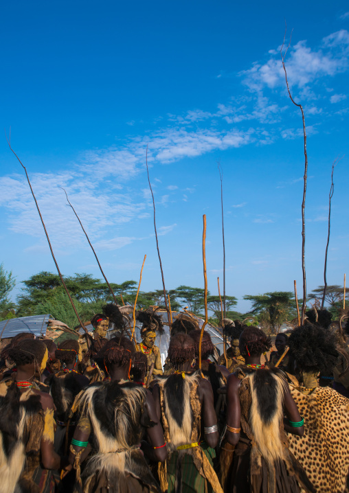 Dassanech men with leopard skins and ostrich feathers headwears during dimi ceremony to celebrate circumcision of teenagers, Omo valley, Omorate, Ethiopia