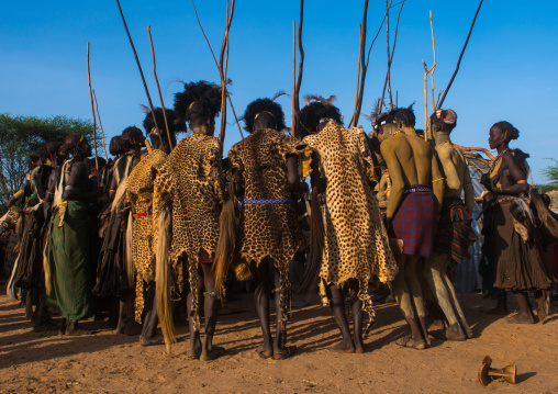 Dassanech men with leopard skins and ostrich feathers headwears during dimi ceremony to celebrate circumcision of teenagers, Omo valley, Omorate, Ethiopia