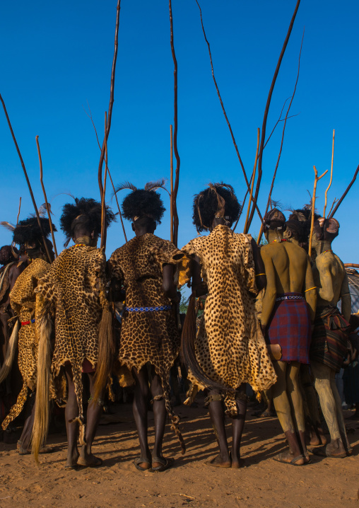 Dassanech men with leopard skins and ostrich feathers headwears during dimi ceremony to celebrate circumcision of teenagers, Omo valley, Omorate, Ethiopia