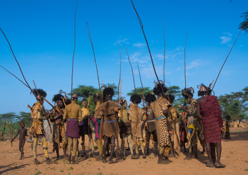 Dassanech men with leopard skins and ostrich feathers headwears during dimi ceremony to celebrate circumcision of teenagers, Omo valley, Omorate, Ethiopia
