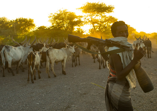 Afar tribe herder with a kalshnikov looking for his cows, Afar region, Afambo, Ethiopia