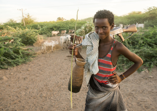 Afar tribe herder with a kalshnikov looking for his cows, Afar region, Afambo, Ethiopia