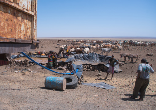 Somali people collecting water in a tank in the desert, Afar region, Yangudi rassa national park, Ethiopia