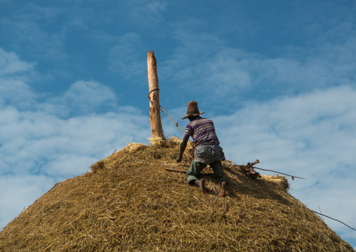 Man covers the thatched roof of a traditional ethiopian house, Kembata, Alaba kuito, Ethiopia