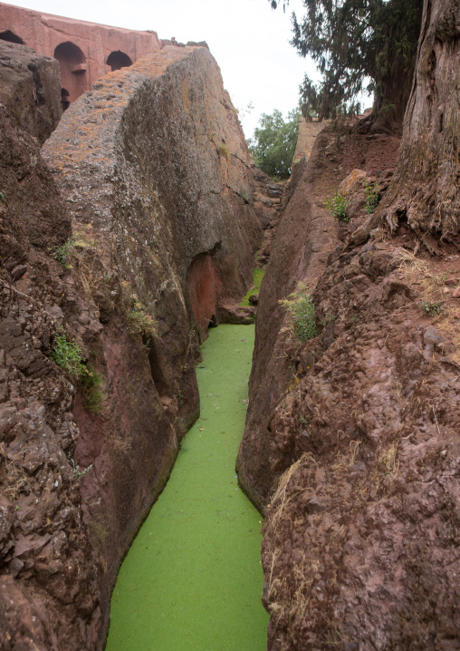 Monolithic rock-cut church ditch with green water, Amhara region, Lalibela, Ethiopia