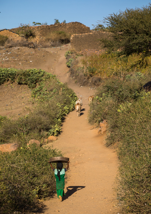 Ethiopian girl going to a traditional Argoba stone houses village, Harari Region, Koremi, Ethiopia