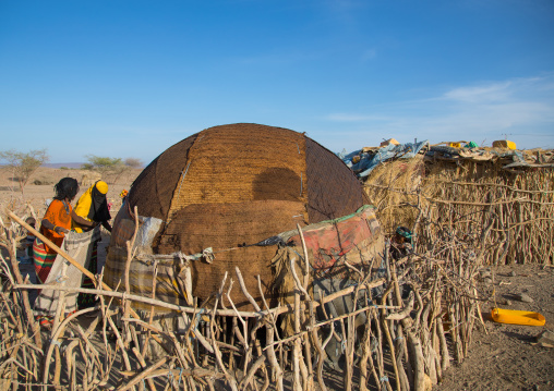 Afar tribe women building a hut behind a wooden fence, Afar region, Mile, Ethiopia