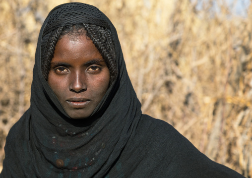 Portrait of an Afar tribe girl with braided hair, Afar region, Chifra, Ethiopia