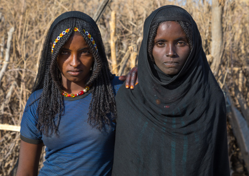 Portrait of Afar tribe women, Afar region, Chifra, Ethiopia