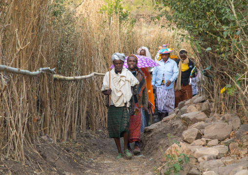 Father of the bride leading an Oromo wedding celebration, Amhara region, Artuma, Ethiopia