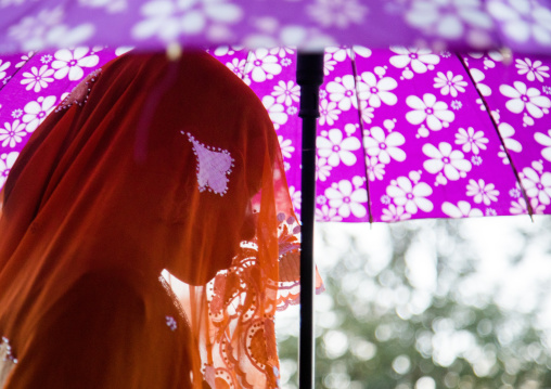 Oromo woman veiled during her wedding celebration, Amhara region, Artuma, Ethiopia