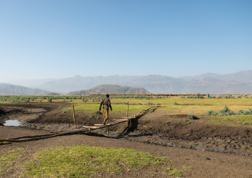 Ethiopian man crossing a wooden bridge in an Artuma tribe village, Amhara region, Kemise, Ethiopia