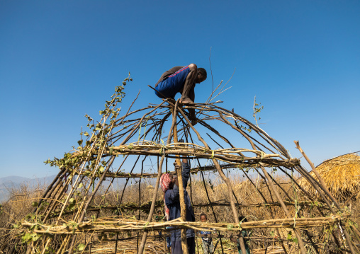 Men from Artuma tribe build a traditional ethiopian house, Amhara region, Kemise, Ethiopia