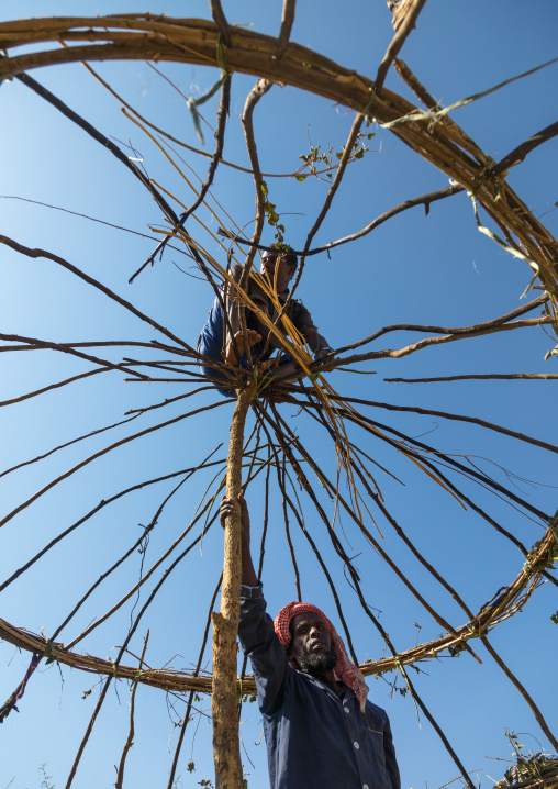 Men from Artuma tribe build a traditional ethiopian house, Amhara region, Kemise, Ethiopia