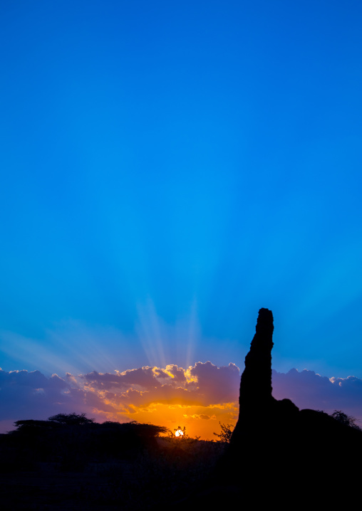 Termite mound in the sunset, Oromia, Yabelo, Ethiopia