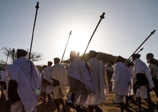 Borana tribe men with their ororo sticks during the Gada system ceremony, Oromia, Yabelo, Ethiopia