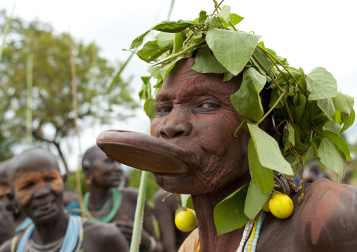 Old Surma Woman With A Lip Plate Wearing A Tree Leaf Headdress, Kibbish Village, Omo Valley, Ethiopia