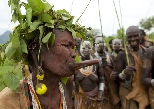 Old Surma Woman With A Lip Plate Wearing A Tree Leaf Headdress, Kibbish Village, Omo Valley, Ethiopia