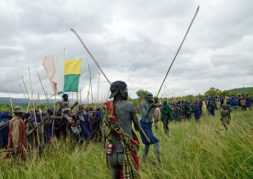 Suri tribe warriors fighting during a donga stick ritual, Omo valley, Tulgit, Ethiopia