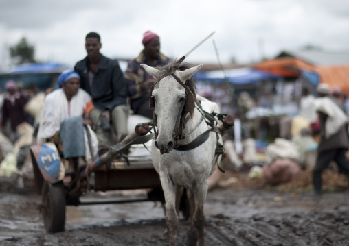 Oromo Men On A Horse Drawn Vehicle At Woliso Market, Ethiopia