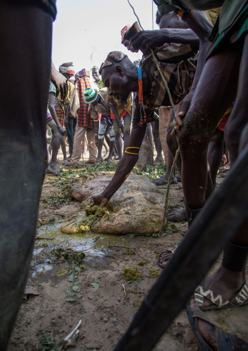 People covering themselves with cow dungs during the proud ox ceremony in the Dassanech tribe, Turkana County, Omorate, Ethiopia