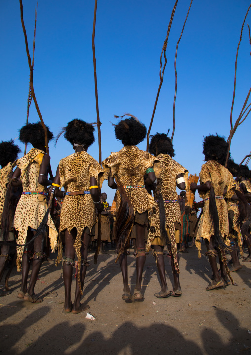 Dassanech men with leopard skins and ostrich feathers wigs during Dimi ceremony to celebrate circumcision of teenagers, Turkana County, Omorate, Ethiopia