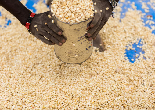 Scooping corn kernels at the market, Omo valley, Key Afer, Ethiopia