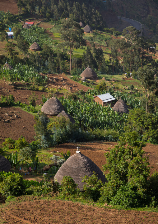 Gurage houses in the mountain, Gurage Zone, Butajira, Ethiopia