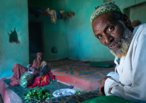 Harari men chewing khat inside an old house, Harari Region, Harar, Ethiopia