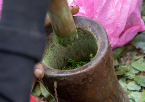 Harari man crashing khat during a sufi celebration, Harari Region, Harar, Ethiopia