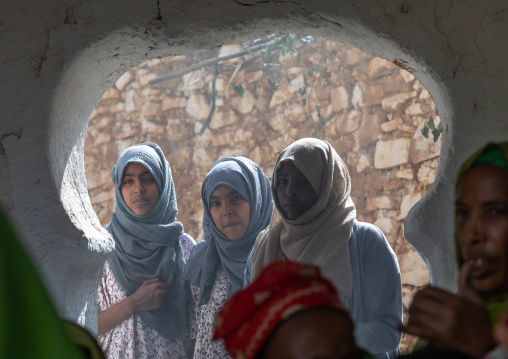 Harari women chanting during a muslim ceremony, Harari Region, Harar, Ethiopia