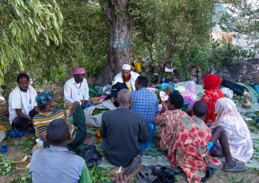 Harari men chewing khat during a sufi celebration, Harari Region, Harar, Ethiopia
